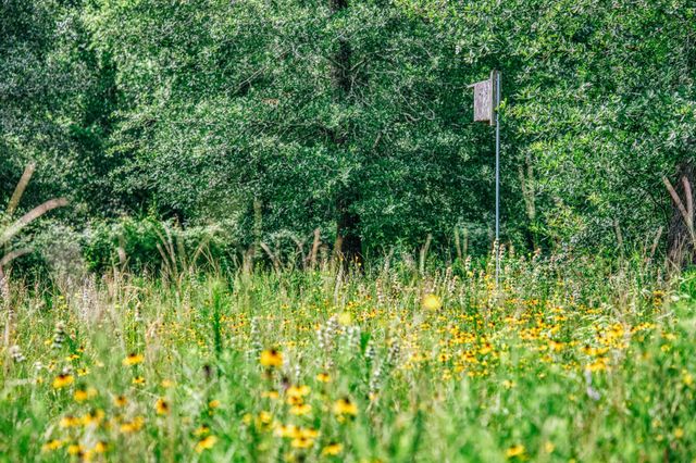 38261 Fm 1736 Road, Hempstead, TX 77445