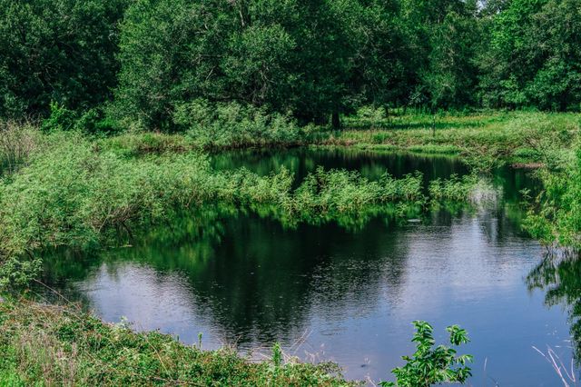 38261 Fm 1736 Road, Hempstead, TX 77445