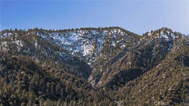2400 E Canyon Drive, Wrightwood, CA 92397