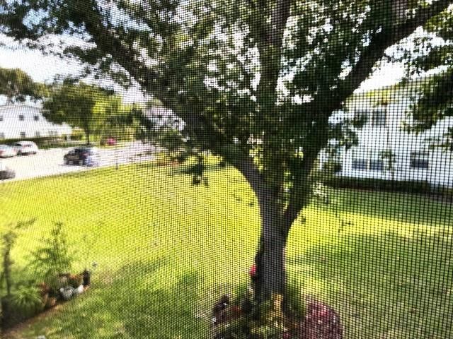 260 Newport P 260, Deerfield Beach, FL 33442