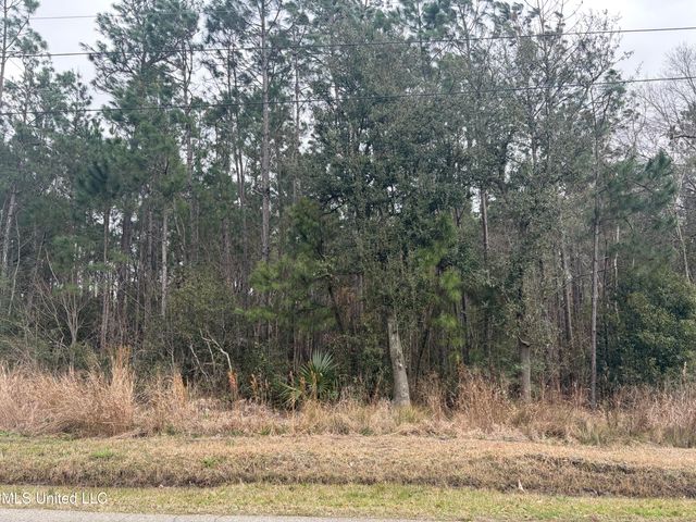 Nhn Tigris Street, Bay Saint Louis, MS 39520
