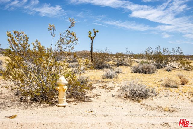 60676 Campanula Street, Joshua Tree, CA 92252