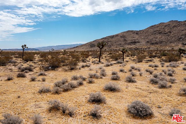 60676 Campanula Street, Joshua Tree, CA 92252