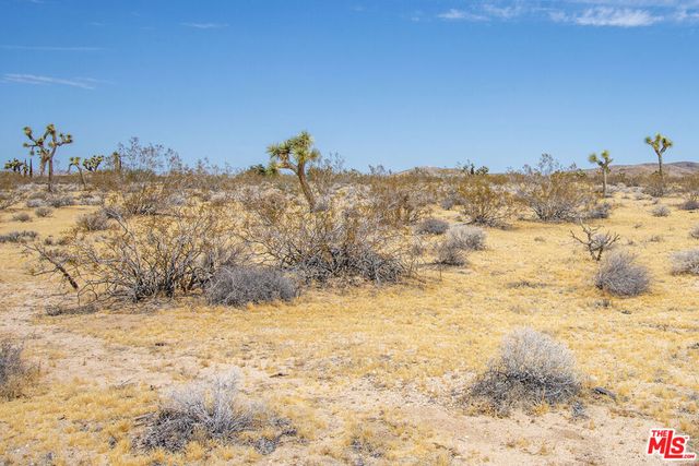 60676 Campanula Street, Joshua Tree, CA 92252