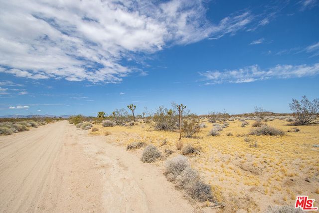60676 Campanula Street, Joshua Tree, CA 92252