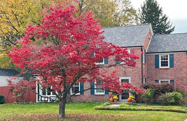 926 E University Street, Springfield, MO 65807