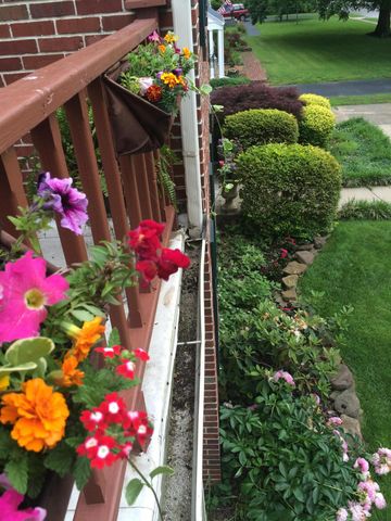 926 E University Street, Springfield, MO 65807