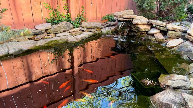 926 E University Street, Springfield, MO 65807