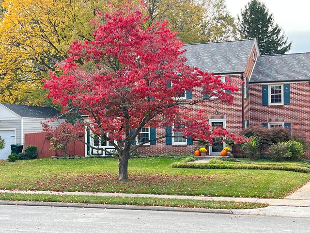 926 E University Street, Springfield, MO 65807