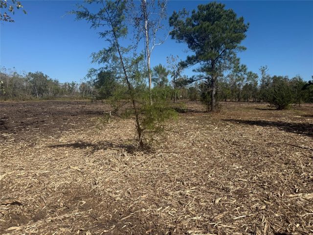 1914 1st St Lot 2 Street, Liverpool, TX 77577