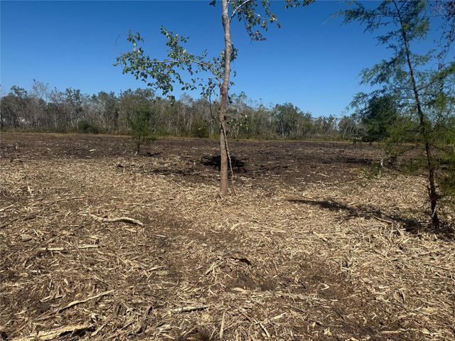 1914 1st St Lot 2 Street, Liverpool, TX 77577