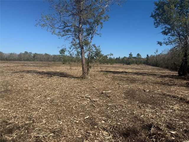 1914 1st St Lot 2 Street, Liverpool, TX 77577