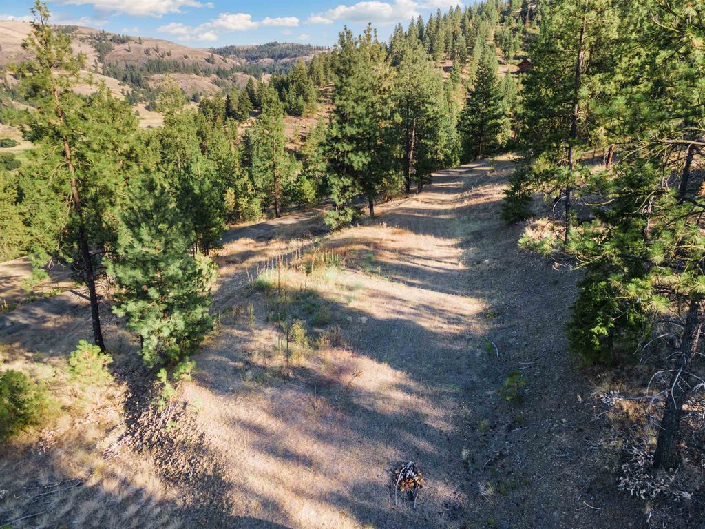 31635 E Ringneck Ln, Davenport, WA 99122 photo 6