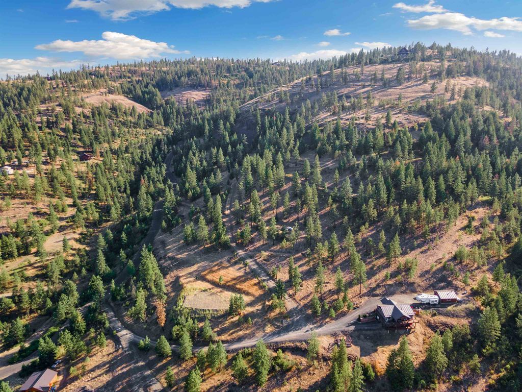 31635 E Ringneck Ln, Davenport, WA 99122 photo 7