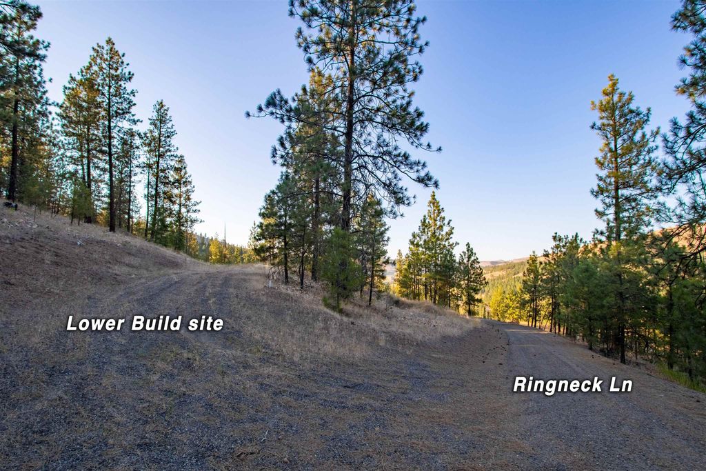 31635 E Ringneck Ln, Davenport, WA 99122 photo 9