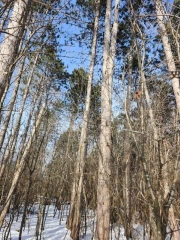 5940 Tower Drive, Eau Claire, WI 54703