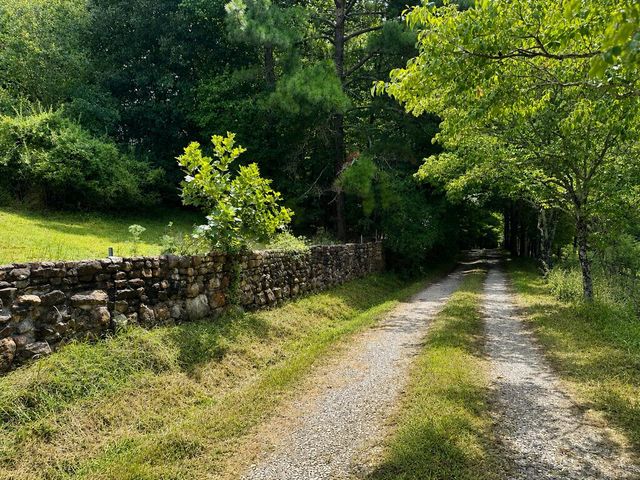 4782 Squirrel Hunting Road, Morganton, GA 30560