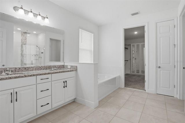 4897 GILDED JEWEL DRIVE, Mount Dora, FL 32757
