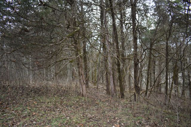 256 Maggart Rd, Elmwood, TN 38560