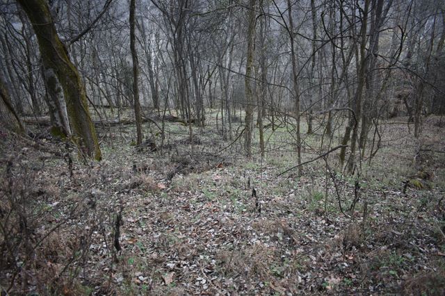 256 Maggart Rd, Elmwood, TN 38560