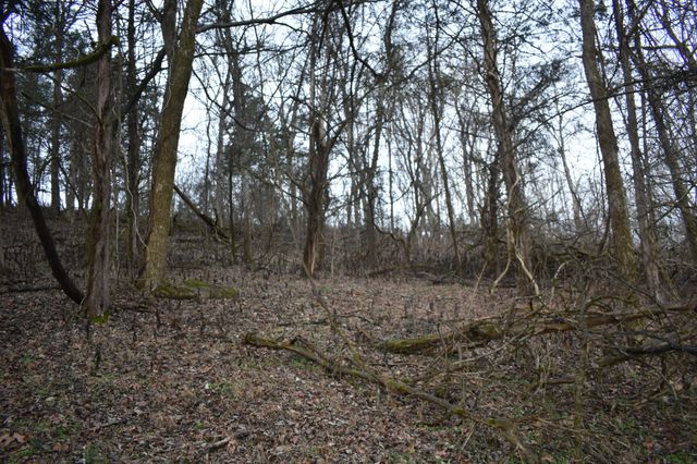 256 Maggart Rd, Elmwood, TN 38560