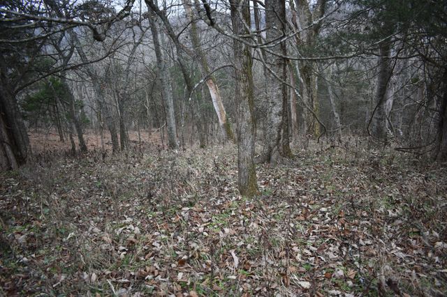 256 Maggart Rd, Elmwood, TN 38560