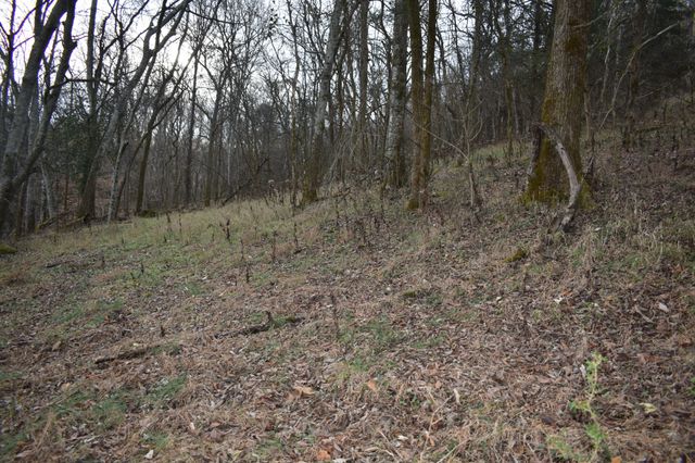 256 Maggart Rd, Elmwood, TN 38560