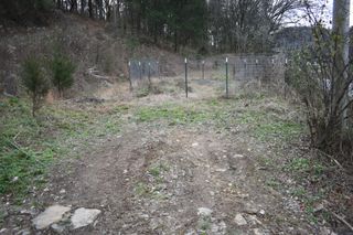 256 Maggart Rd, Elmwood, TN 38560