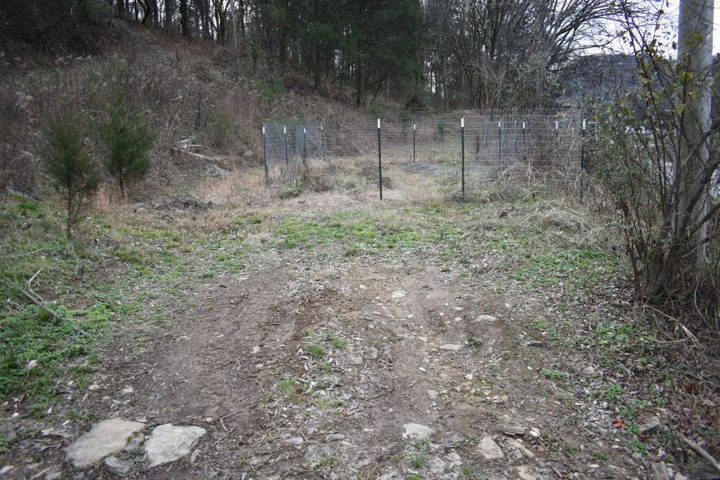 256 Maggart Rd, Elmwood, TN 38560