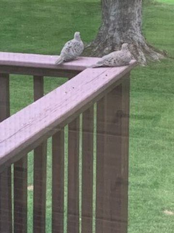 7497 Lake Avenue, Williamson, NY 14589