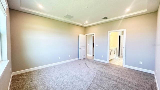 3806 SAVANNA PALMS COURT, Lakewood Ranch, FL 34211