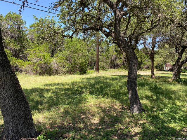 1175 OBLATE DR, Canyon Lake, TX 78133