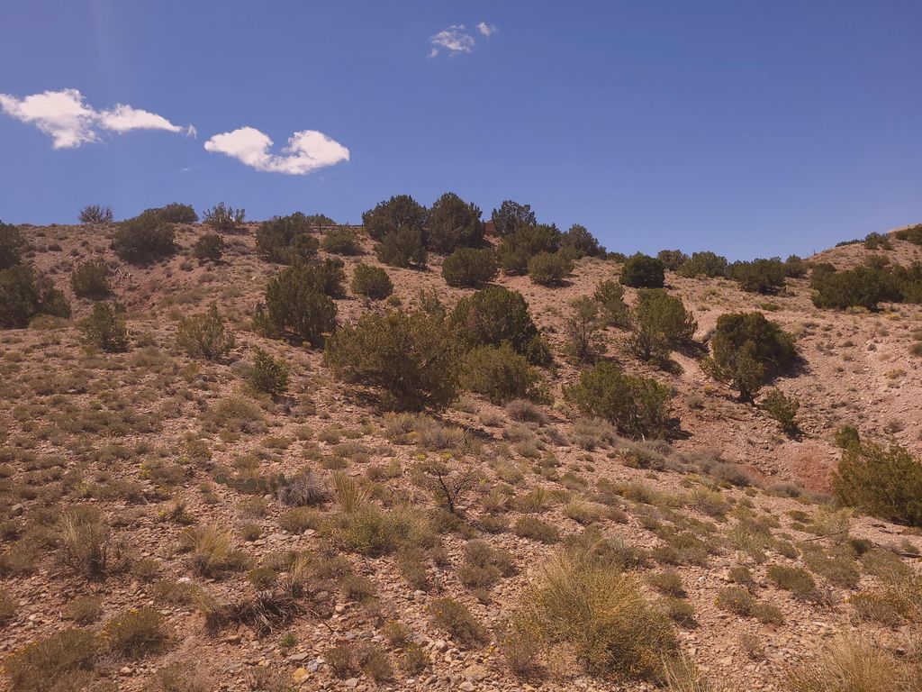 Image 11 of property listing at 50 Cienega Canyon Road, Placitas, NM 87043