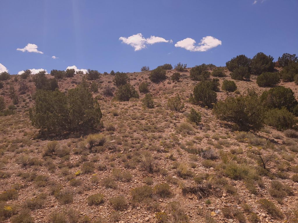 Image 12 of property listing at 50 Cienega Canyon Road, Placitas, NM 87043