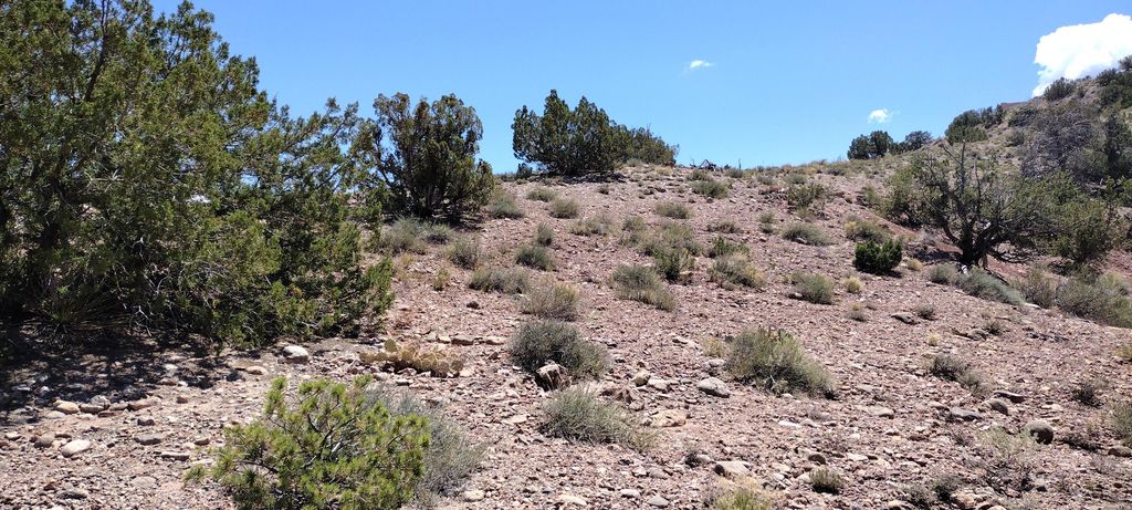 Image 13 of property listing at 50 Cienega Canyon Road, Placitas, NM 87043