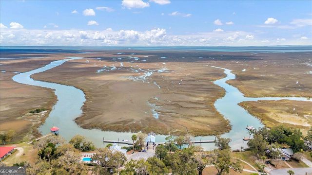 54 Salt Marsh Drive, Midway, GA 31320