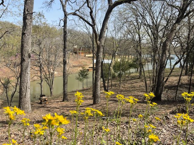 265 Shadow Oaks, Streetman, TX 75859