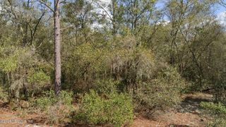 0 VIRGINIA Street, Interlachen, FL 32148