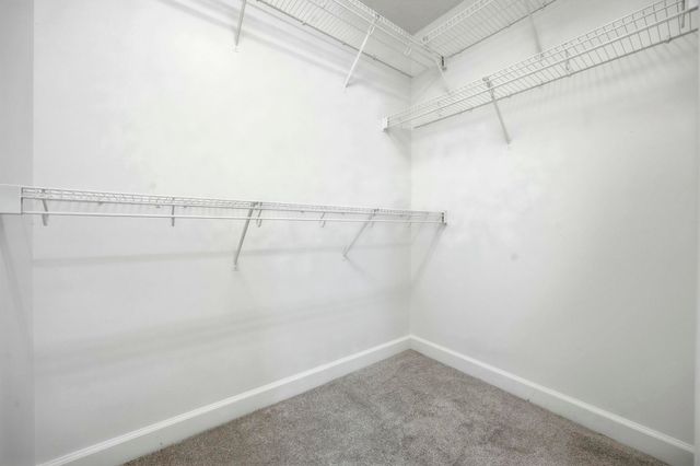 281 La Patos Dr., Myrtle Beach, SC 29588