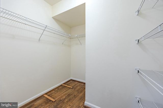 8200 MAPLE RIDGE AVE, Springfield, VA 22153