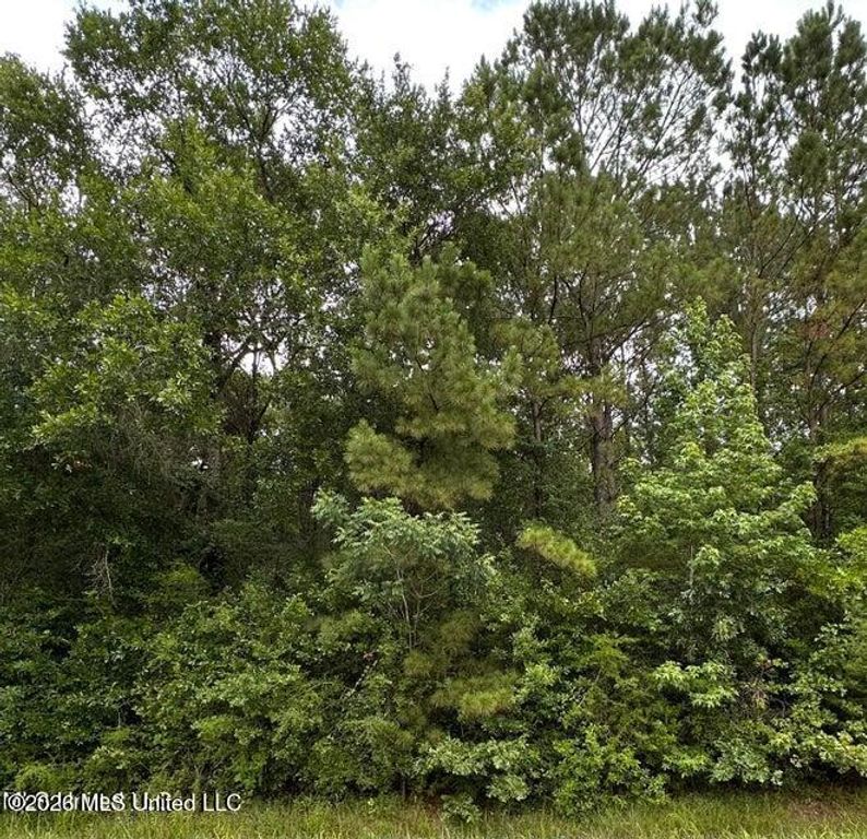 Mississippi 613, Moss Point, MS 39562