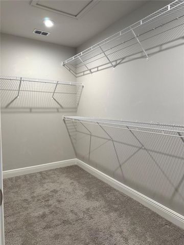 6117 GRAND SONATA AVENUE, Lutz, FL 33558