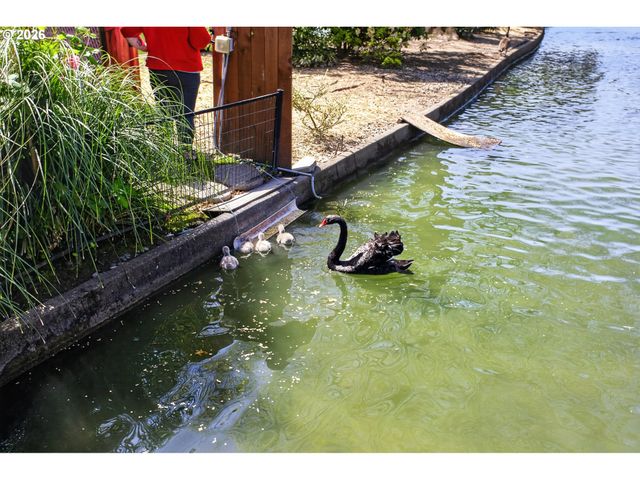 5575 E EVERGREEN Blvd 4111, Vancouver, WA 98661