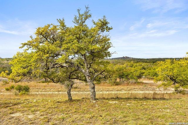 232 Crooked Oak, Round Mountain, TX 78663