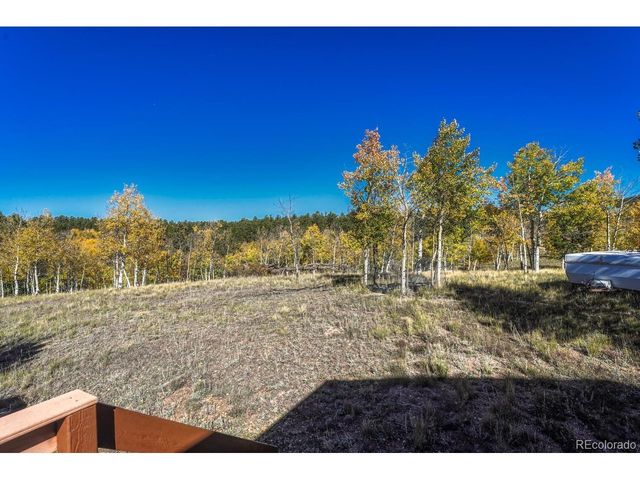 145 Crestone Cir, Florissant, CO 80816