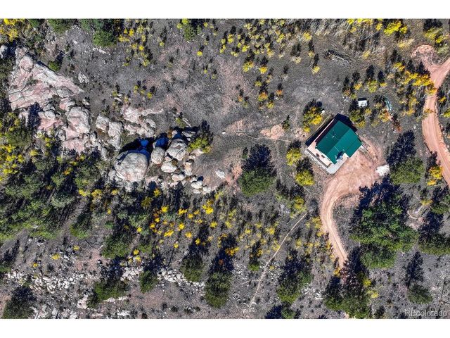 145 Crestone Cir, Florissant, CO 80816