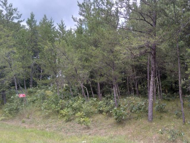 462 Duffers Trail, Nekoosa, WI 54457