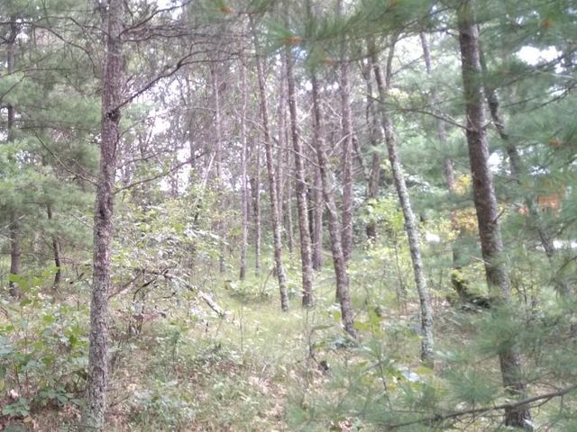 462 Duffers Trail, Nekoosa, WI 54457