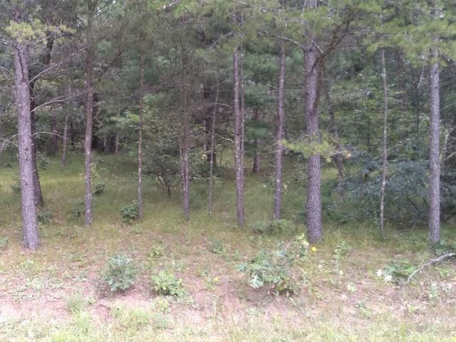 462 Duffers Trail, Nekoosa, WI 54457