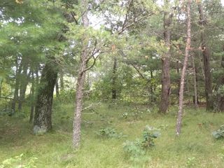 462 Duffers Trail, Nekoosa, WI 54457